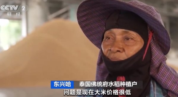 领航优配 日本主妇在韩国买米，1公斤“仅”15元，还分享“攻略”！全球米价都在跌，日本却涨了又涨，原因在哪里？