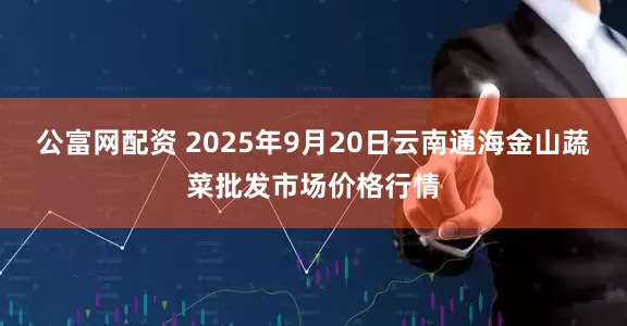 公富网配资 2025年9月20日云南通海金山蔬菜批发市场价格行情